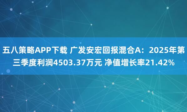 五八策略APP下载 广发安宏回报混合A：2025年第三季度利润4503.37万元 净值增长率21.42%