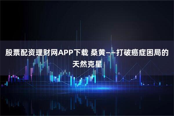 股票配资理财网APP下载 桑黄——打破癌症困局的天然克星