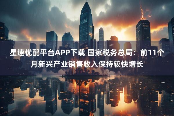 星速优配平台APP下载 国家税务总局：前11个月新兴产业销售收入保持较快增长